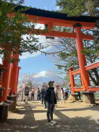 แจกแพลนเที่ยวญี่ปุ่น 4 วัน ชม Mt.Fuji & ซากุระฉ่ำๆ