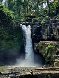 Bali 5D4N free and easy trip