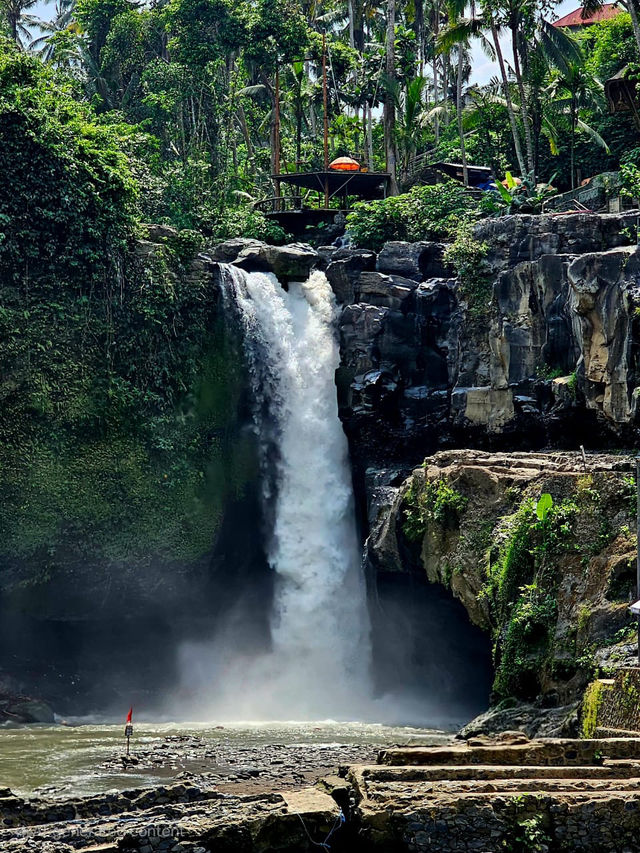 Bali 5D4N free and easy trip