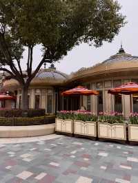 The Cheesecake Factory 🍰🧀 – สายชีสเค้กต้องมา!