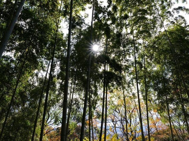 文藝 . 四國村