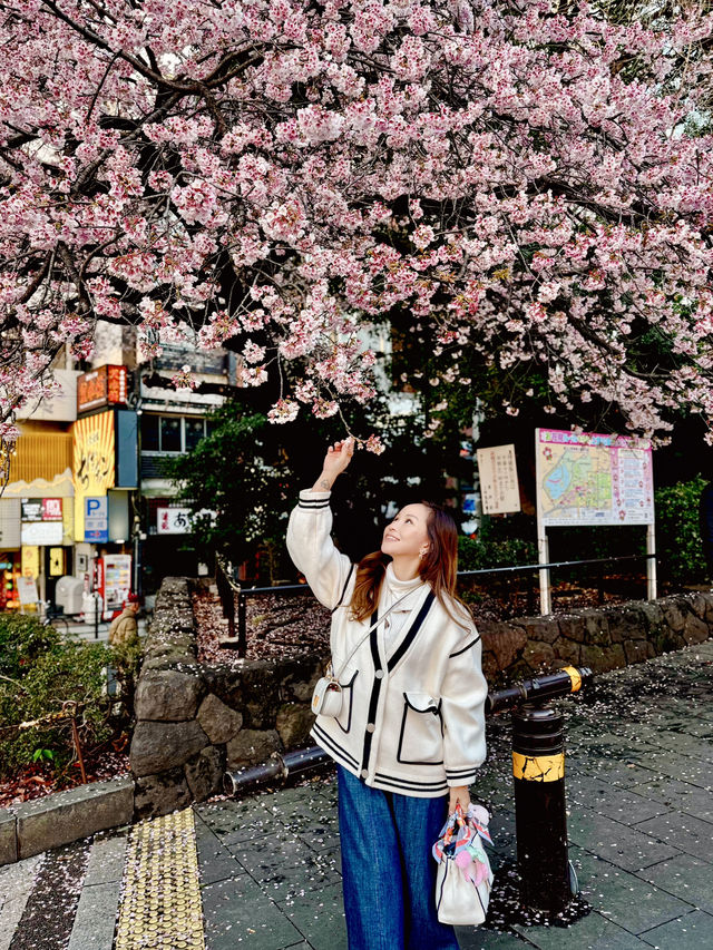 Tokyo Spring vibes unlocked 🌸