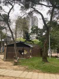 林口 社區公園 ❇️ 城市綠地 孩童玩樂之處
