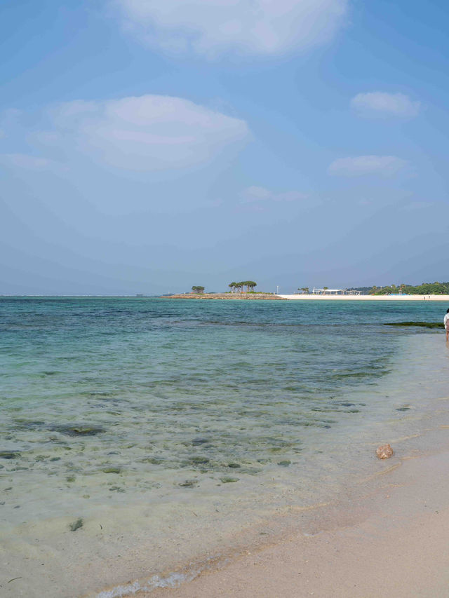 美ら海水族館 – 世界屈指の大水槽を体感🐠🌊