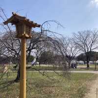 大濠公園（Ohori Park）