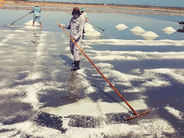 Sustainable Travel at Ninh Hòa’s Salt Fields – A Lesson in Tradition and Preservation