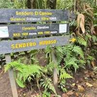 Costa Rica’s Monteverde Cloud Forest – A Lush Eco-Paradise