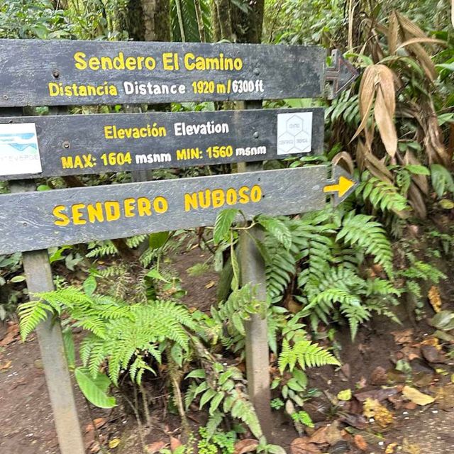 Costa Rica’s Monteverde Cloud Forest – A Lush Eco-Paradise