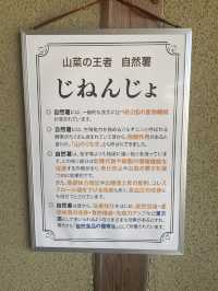 【佐賀グルメ】佐賀で自然薯食べるならここに行ってみて
