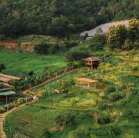 Mori Natural Farm โมริ เนเชอรัลฟาร์ม เชียงใหม่ 🏮🛖