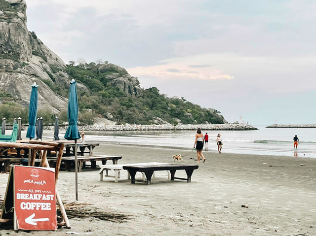 Pineapple Surf Club คาเฟ่บรรยากาศสุดชิล