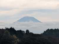【山梨】ハイジの村で花や富士山を見ながら一休み