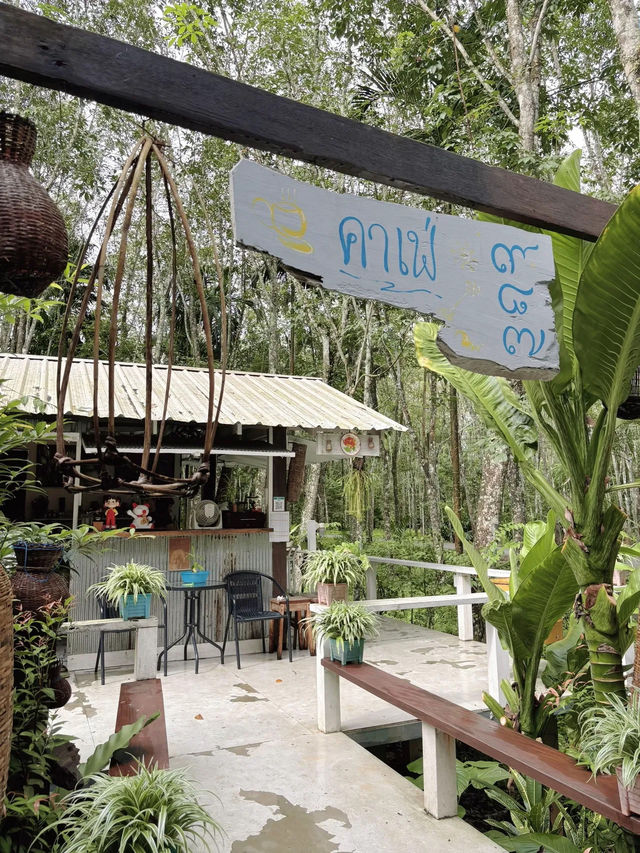 โรตี 789 ร้านโรตีในสวนยาง ที่กงหรา พัทลุง
