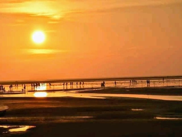 高美濕地賞落日，浪漫的金黃色海天一線