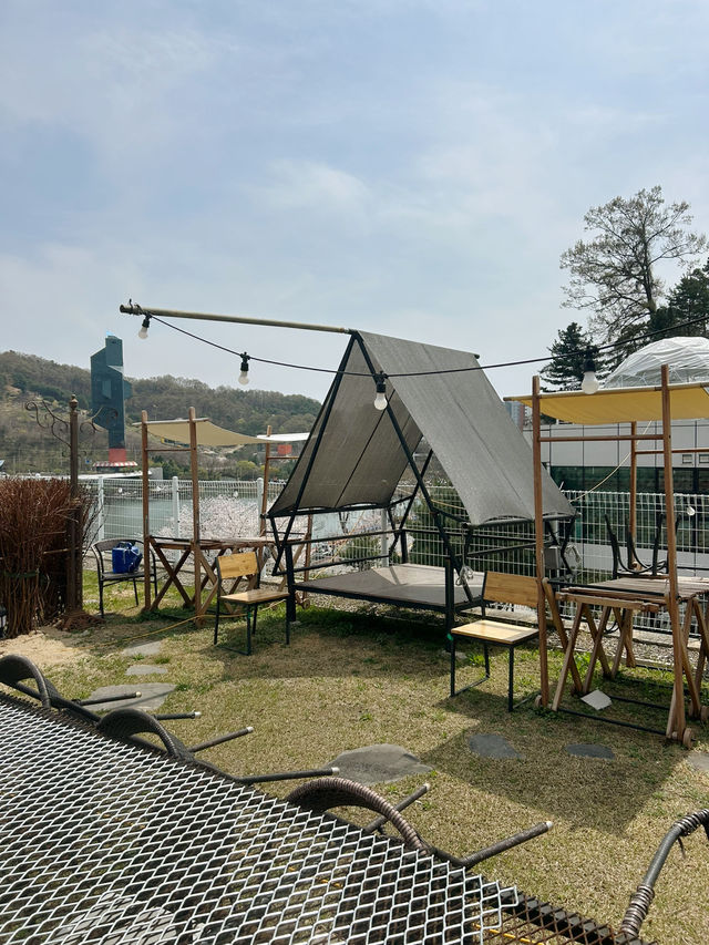 자연 속 아늑한 감성, 청주 카페5에서의 여유 한 잔