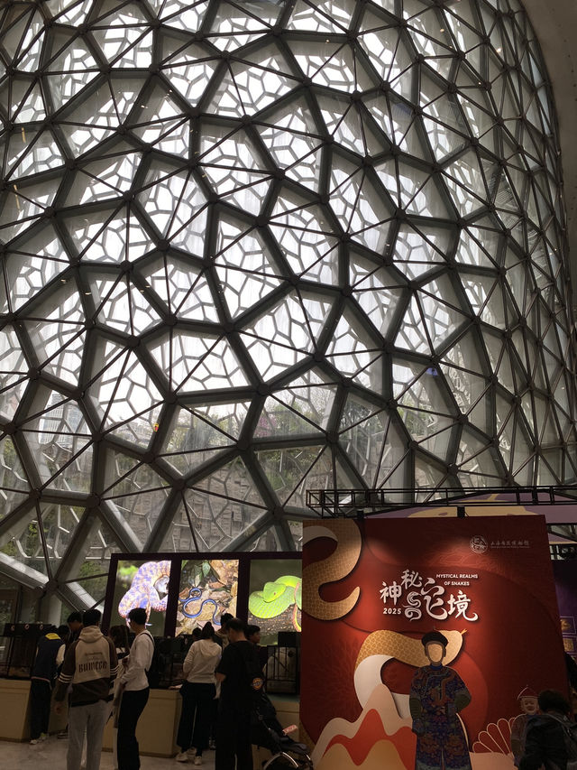 พาทัวร์ 📍Shanghai Natural History Museum