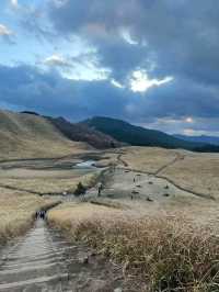 Whispers of Wind in Nara’s Golden Plains