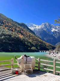 Blue Moon Valley: Where Earth Meets Paradise