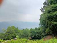 【岡山】日本100名城・備中松山城