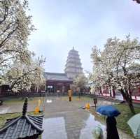 A Spiritual Journey to the Wild Goose Pagoda