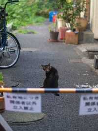 ディープな昭和遺産！川崎「亀甲マーケット」スナップ旅📸🛒