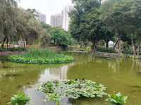 ✨城市中的自然美地✨🌴天水圍公園