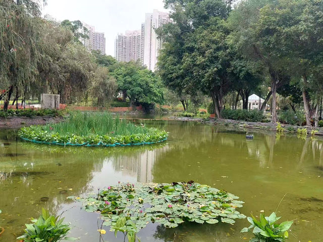 ✨城市中的自然美地✨🌴天水圍公園