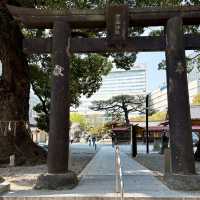 【天神】活気あふれる天神のど真ん中✨神々しい神社✨