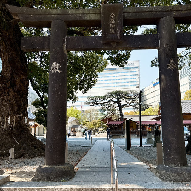 【天神】活気あふれる天神のど真ん中✨神々しい神社✨