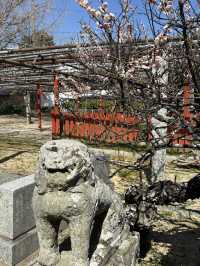 【福岡神社】小路を入った奥にある素敵な神社