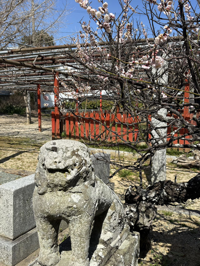 【福岡神社】小路を入った奥にある素敵な神社