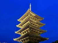 京都車站周邊賞櫻首選---東寺•夜櫻