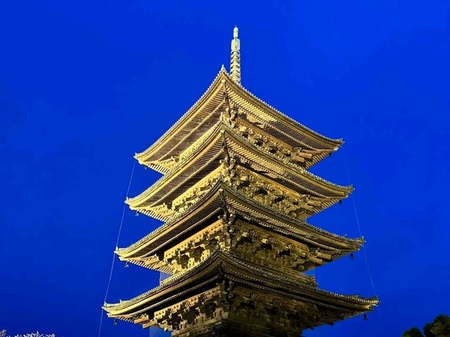 京都車站周邊賞櫻首選---東寺•夜櫻