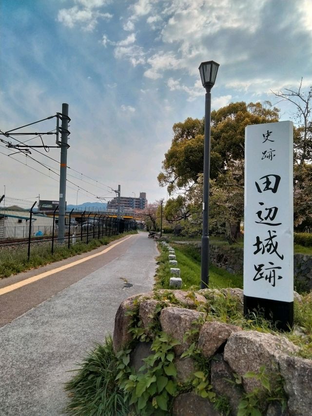 【桜🌸】舞鶴公園