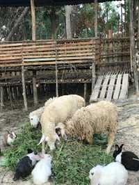 Lembah Pelangi Batam