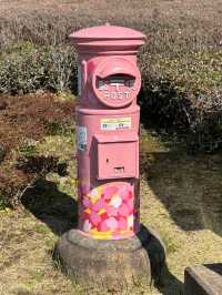 Sakura Castle Park, Chiba