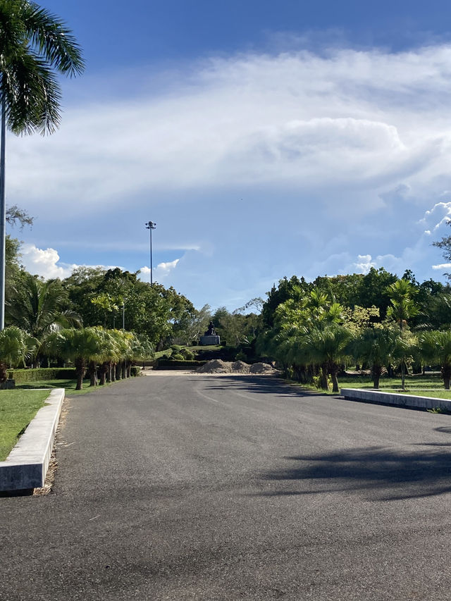 The Green Oasis