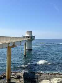 【千葉】ダイバー気分で海の中を観察できます