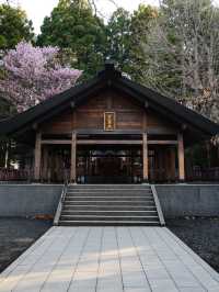 “Maruyama Park: Where Sakura and Sapporo’s Spirit Bloom Together”