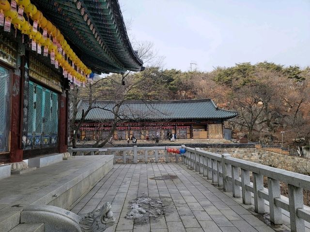 도심 속 등산⛰️ 관악산에서 찾은 나만의 정상의 순간