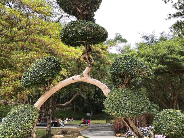 Yuntai Garden 