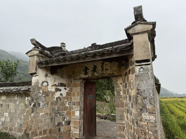 風，吹到了廣渡