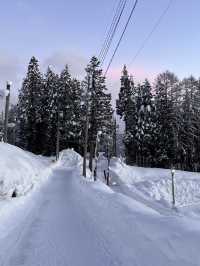 【長野県/白馬】湖を眺めながらスノボができるスキー場⛷️