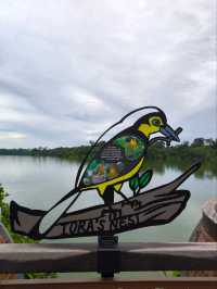 Nature's Embrace: Mandai Boardwalk