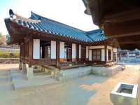 “Cherry Blossoms and Tradition at Namsangol Hanok Village”