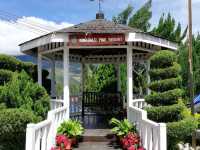 “Kinabalu Pine Resort: A Tranquil Escape with Breathtaking Mountain Views”
