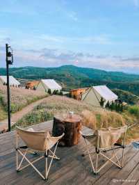 THE CAMP VILLE DALAT 