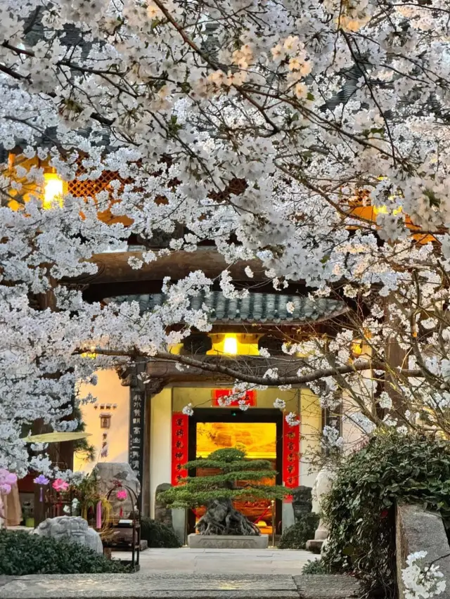 “Spring’s Hidden Poem: Cherry Blossoms at Mengxi Garden”