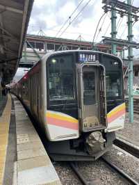 【JR東日本】厳しい上越国境を抜ける路線・上越線