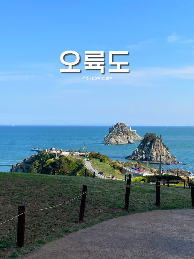 부산이 처음이신가요?